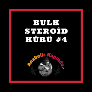 Bulk Steroid Kürü #4